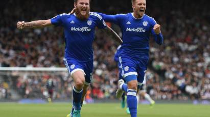 Cardiff City In Focus