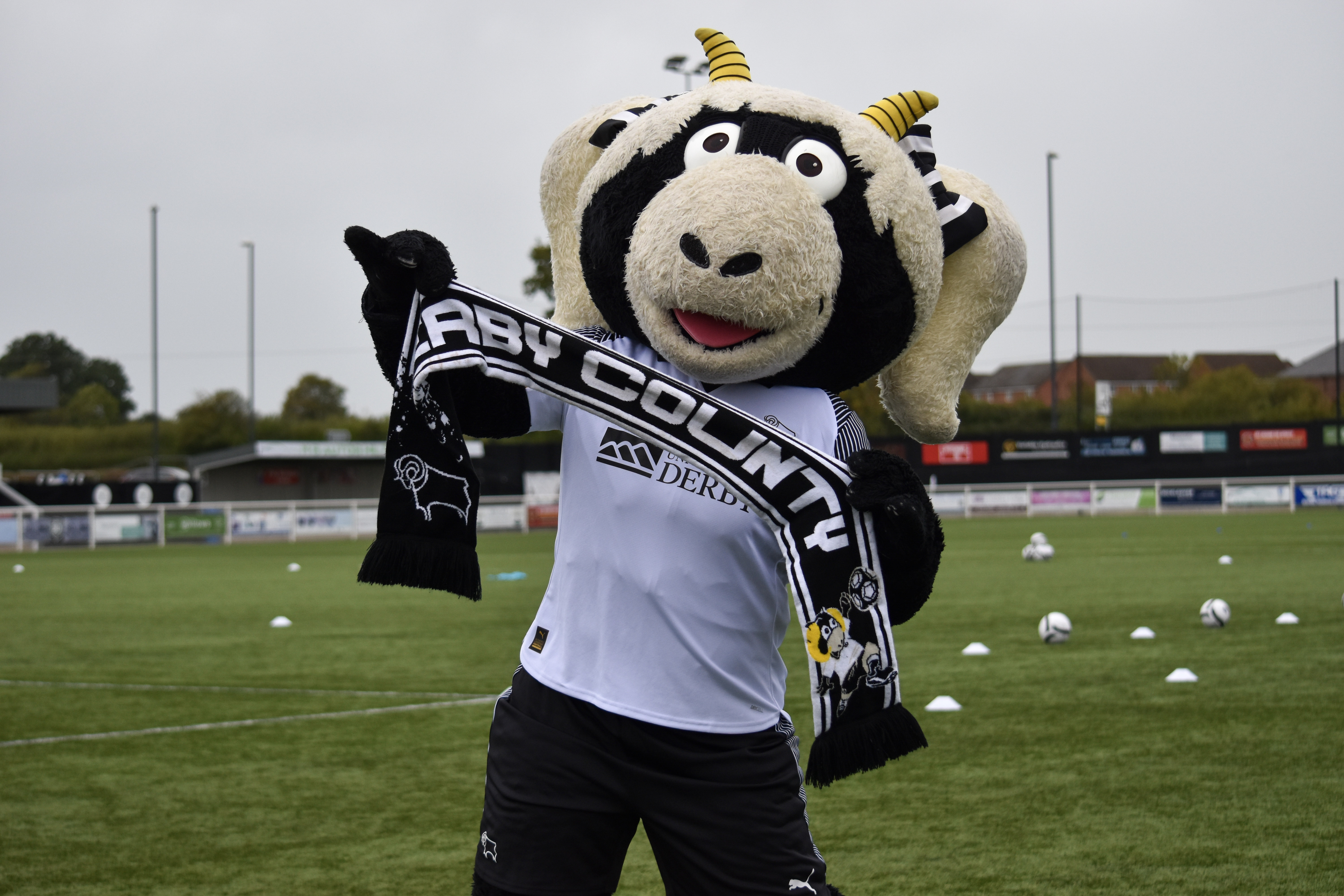 DCFC Player Image